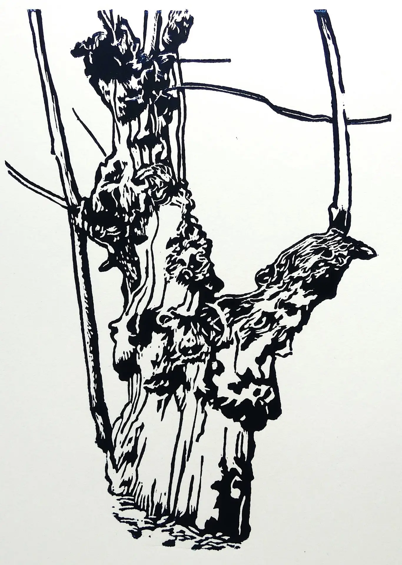 2025_Ete_LeFaouet_Expo_Le_Temps_Vivre
