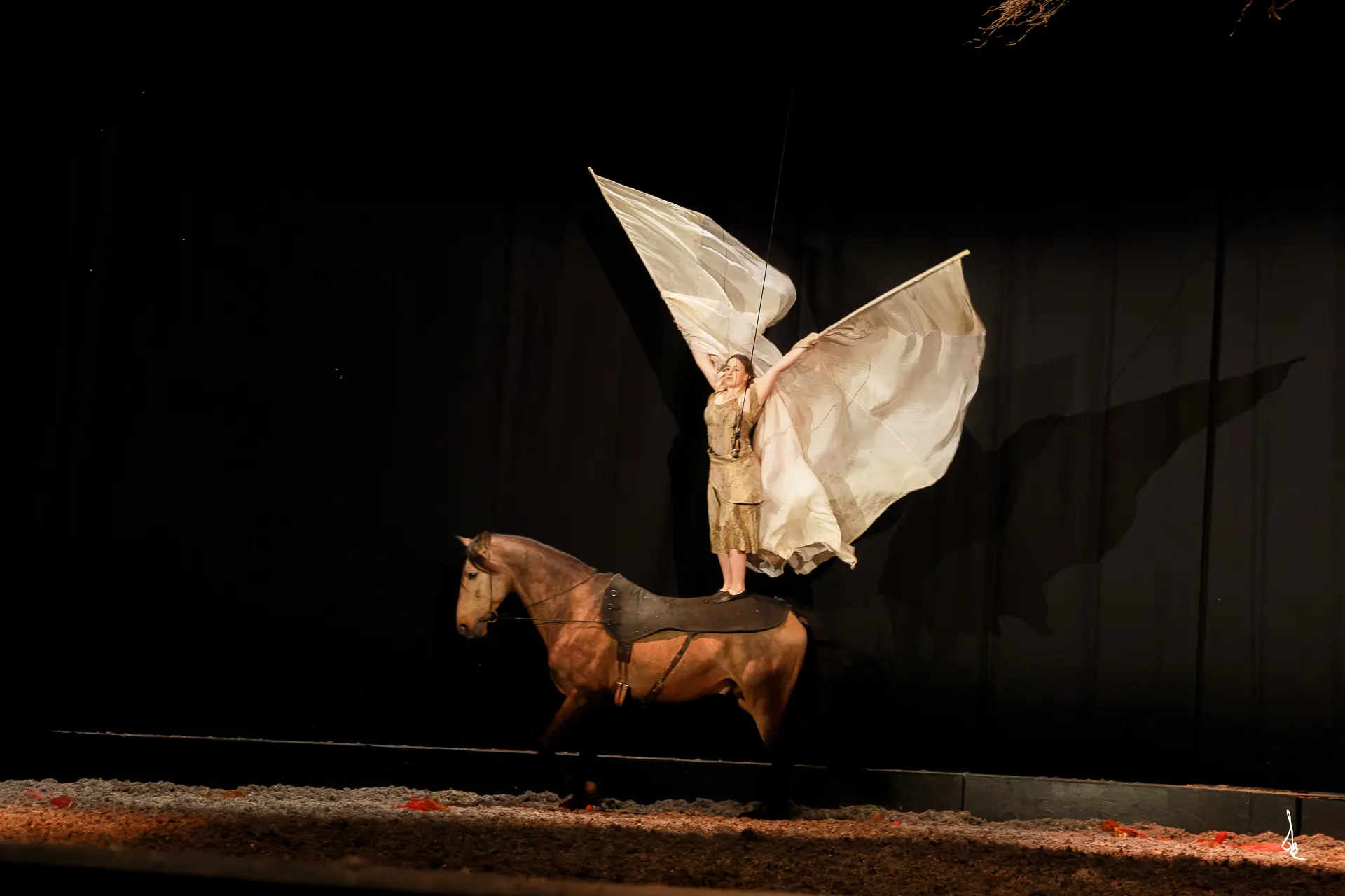 2025_Ete_LeSaint_SaintPito_Metamorphoses©Antoine_Bassaler