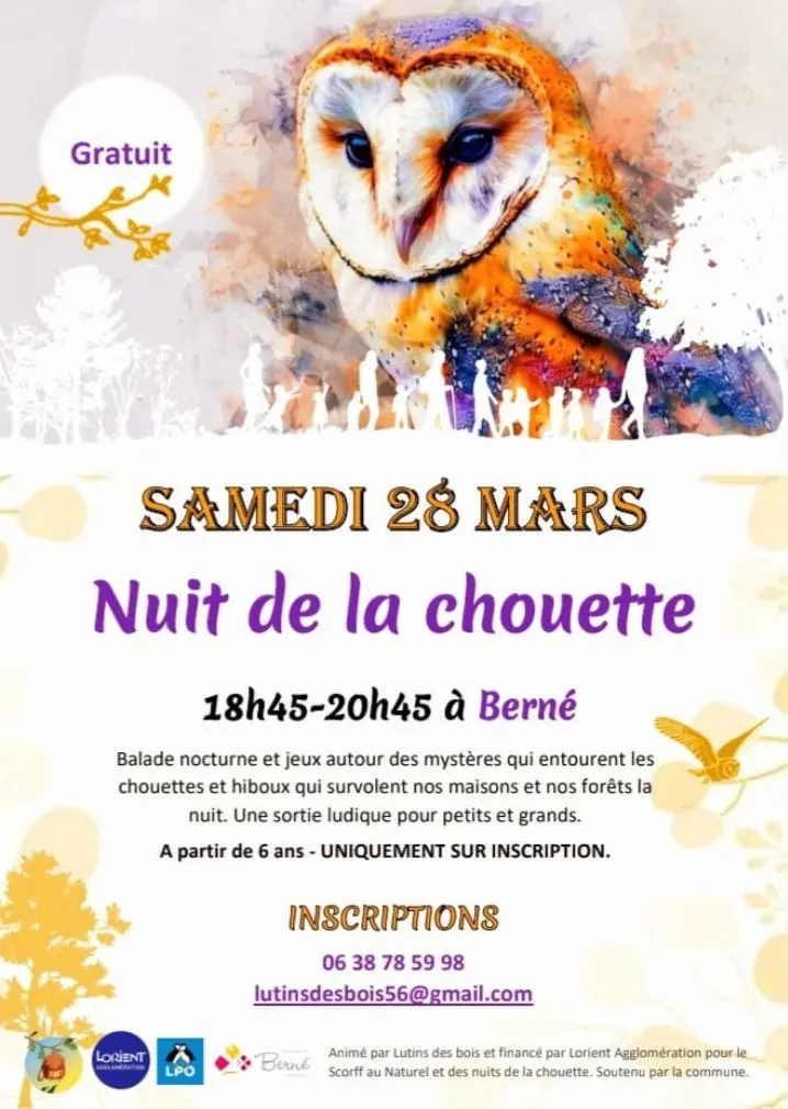 2026_Mars_Berne_Nuit_Chouette