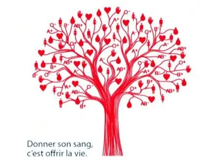 2265-1765743579-642789@1200