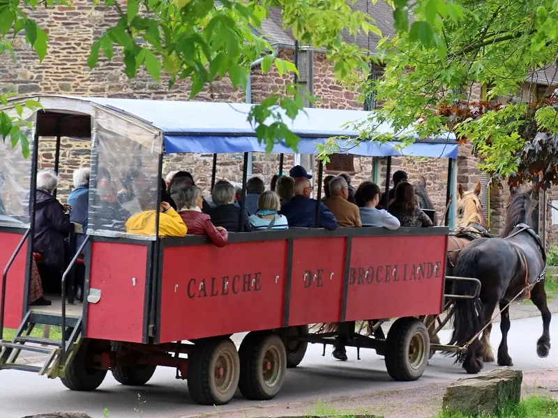 Calèche_de_Brocéliande_balade_contes_Tréhorenteuc_DestinationBrocéliande4