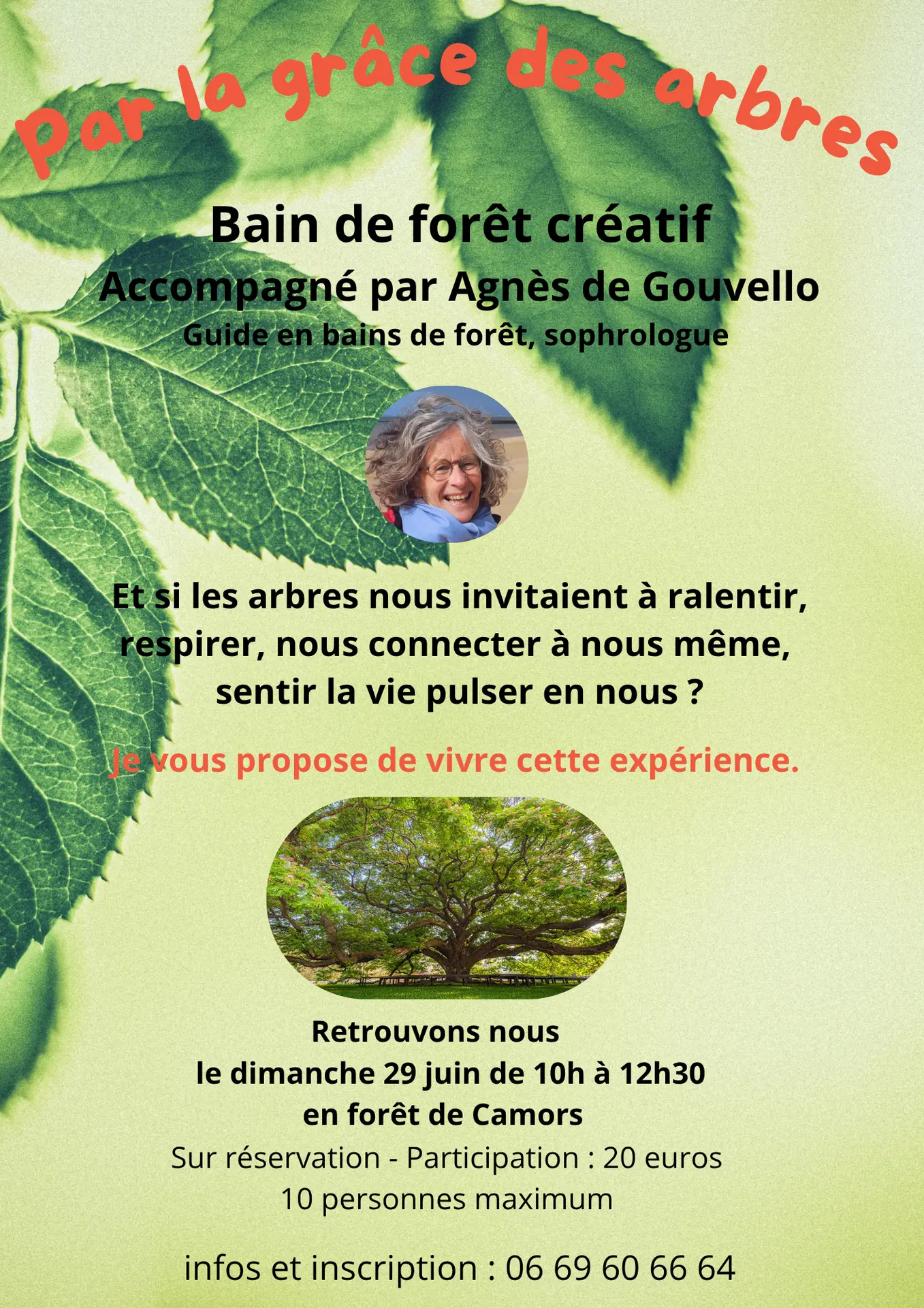 Par la grâce des arbres