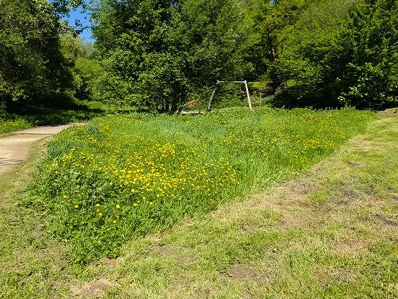 Balade nature “Gestion différenciée”