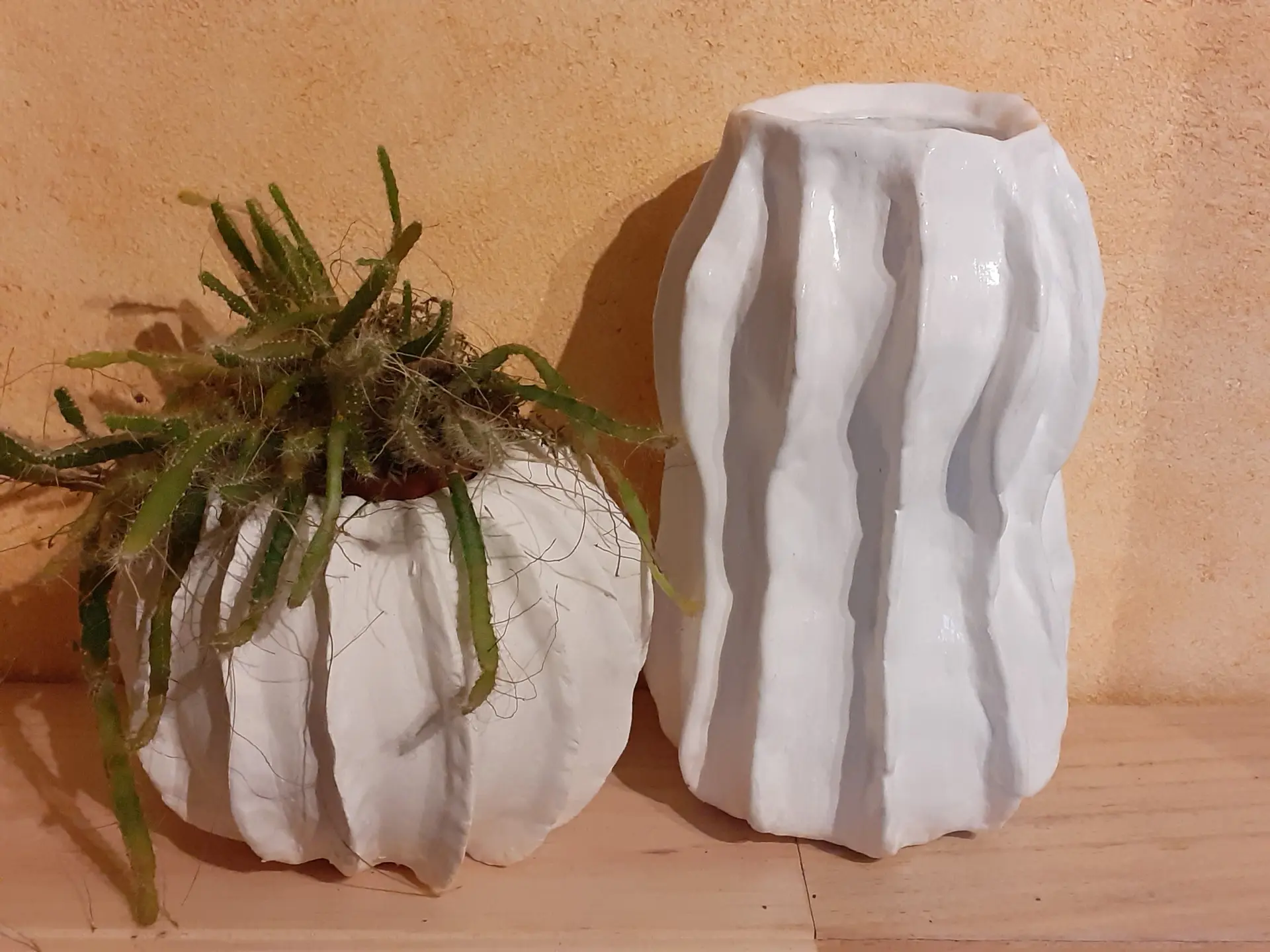 vases vernis avec plante