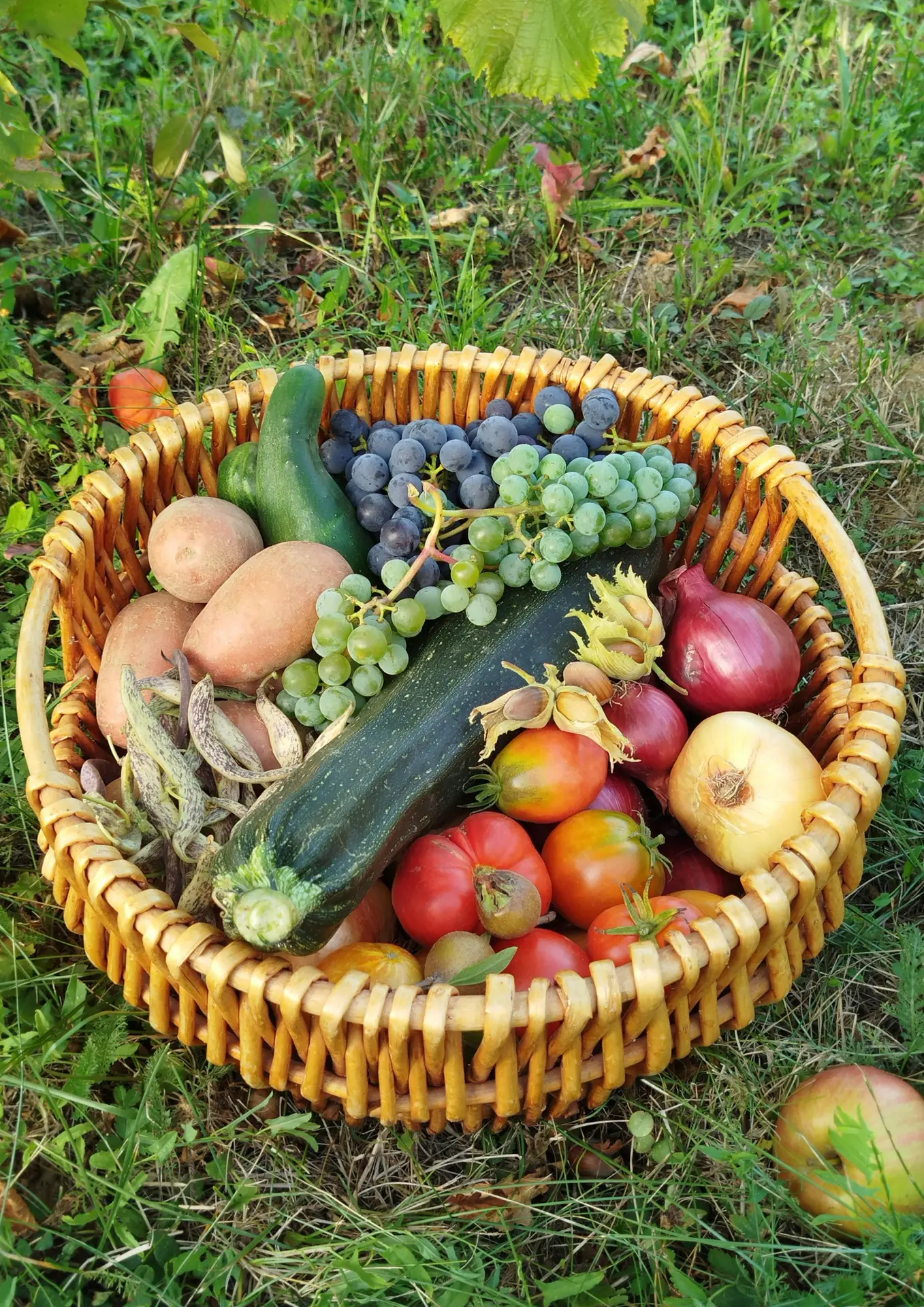 Photos libres de droits FMA -