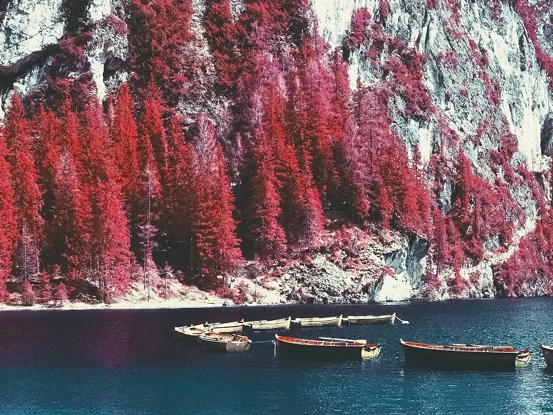 exposition - Aerochrome - Clément Bertin - lac au duc - Ploërmel - Morbihan