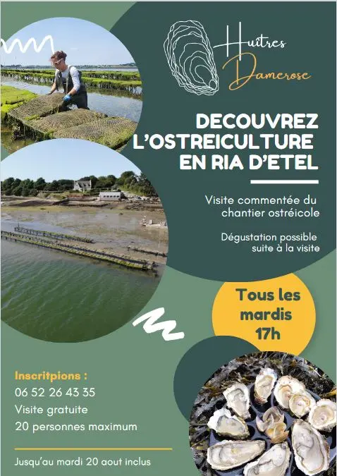 Affiche visite