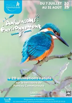 Animations environnement