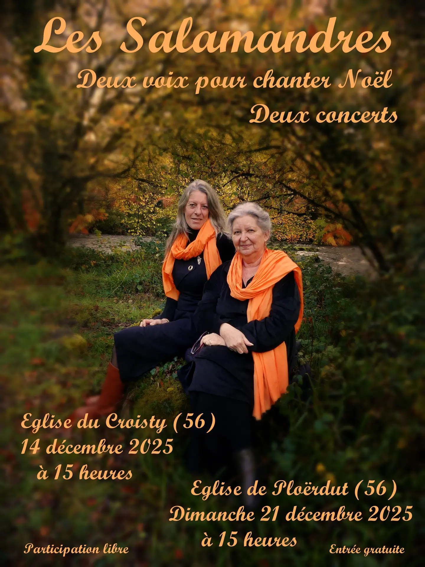 Affiche concerts