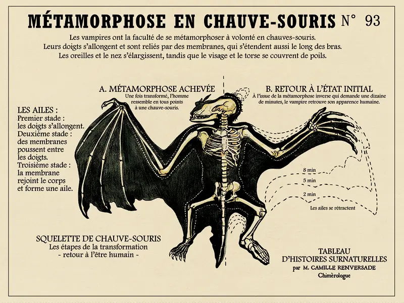 chimerologie_CentreArthurien_Comper_Concoret_DestinationBrocéliande