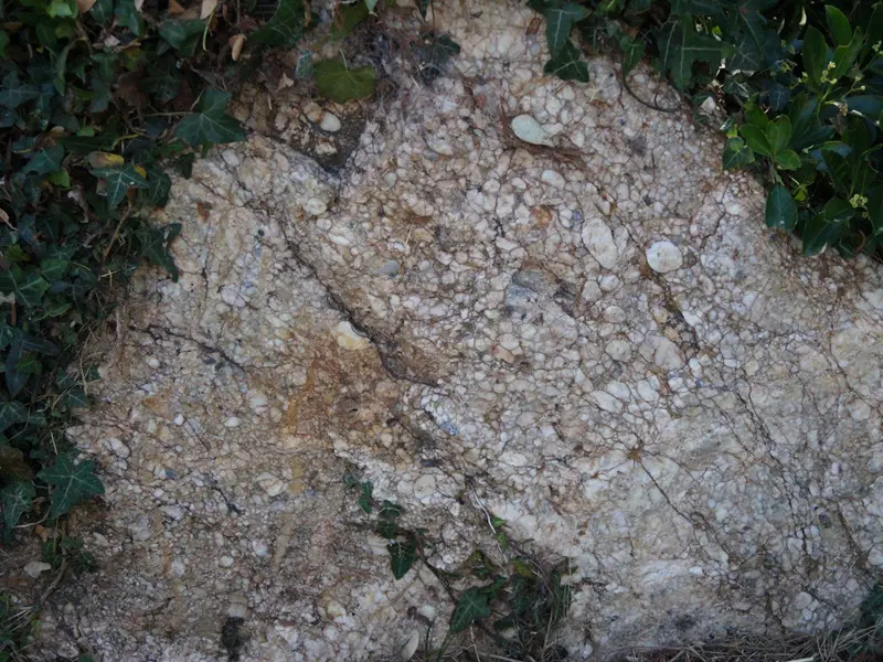 jardin-aux-moines_balade_geologique_Néant-sur-Yvel_Tréhorenteuc