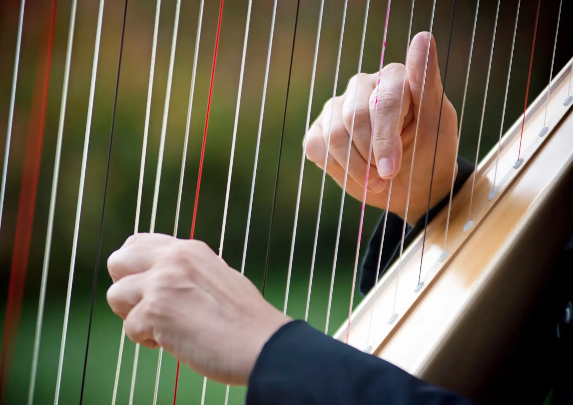 Harpe