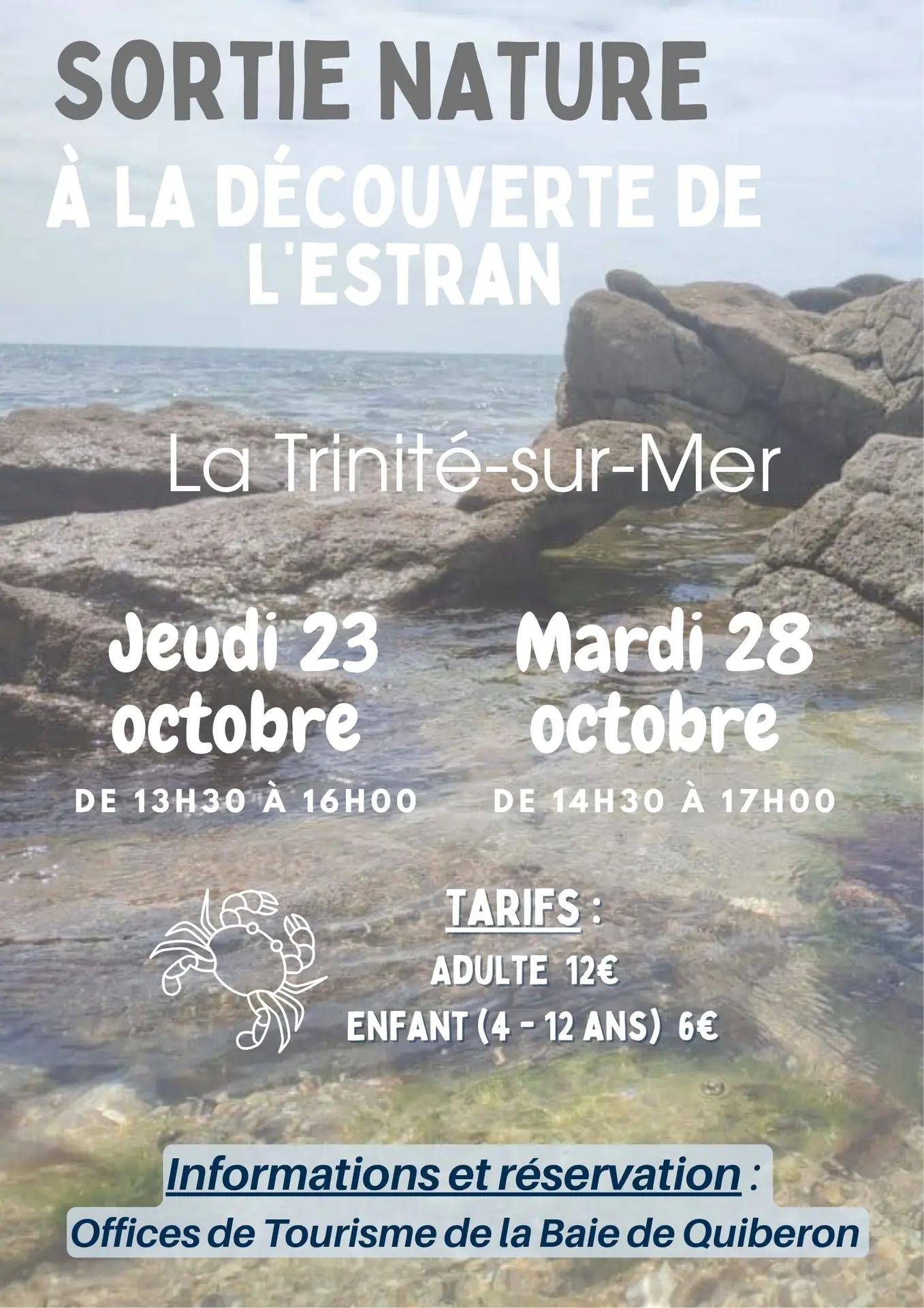 Découverte de l'estran : les petits animaux du bord de mer