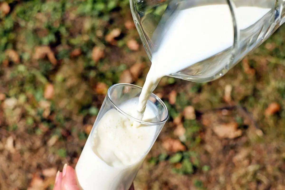 Fête du lait