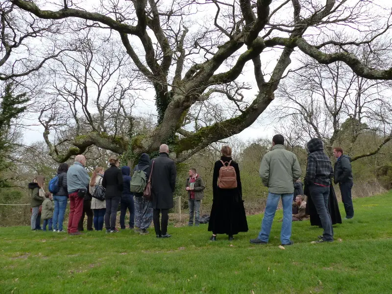 sortie_nature_arbres_remarquables_cpie_concoret_DestinationBrocéliande
