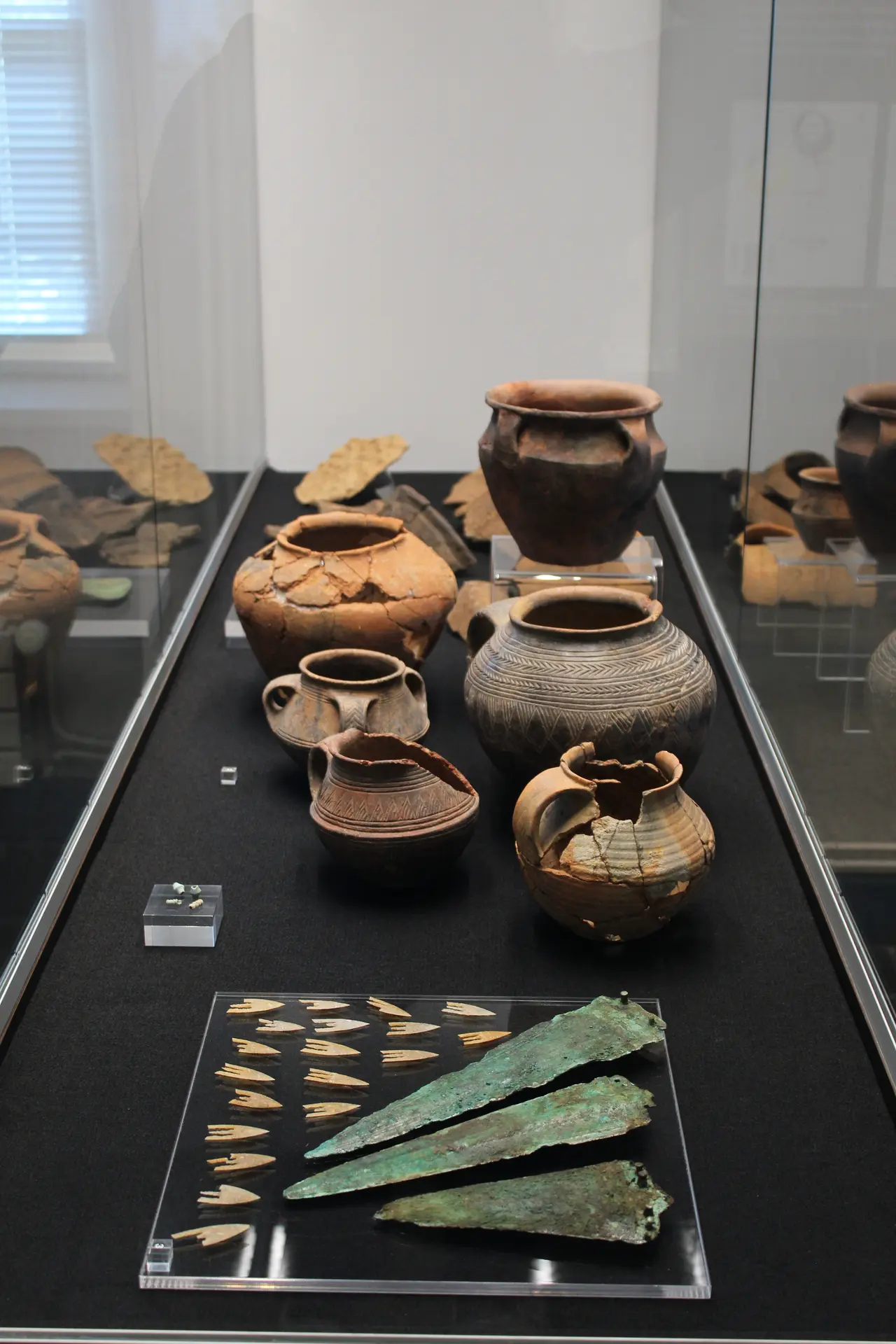 Exposition Campaniforme