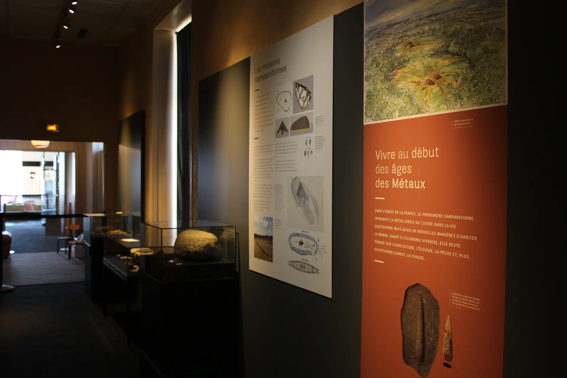 Exposition Campaniforme