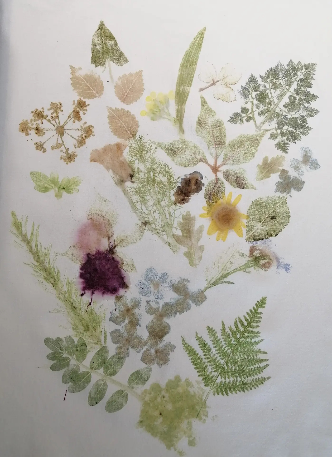 ATELIER EMPREINTES VEGETALES
