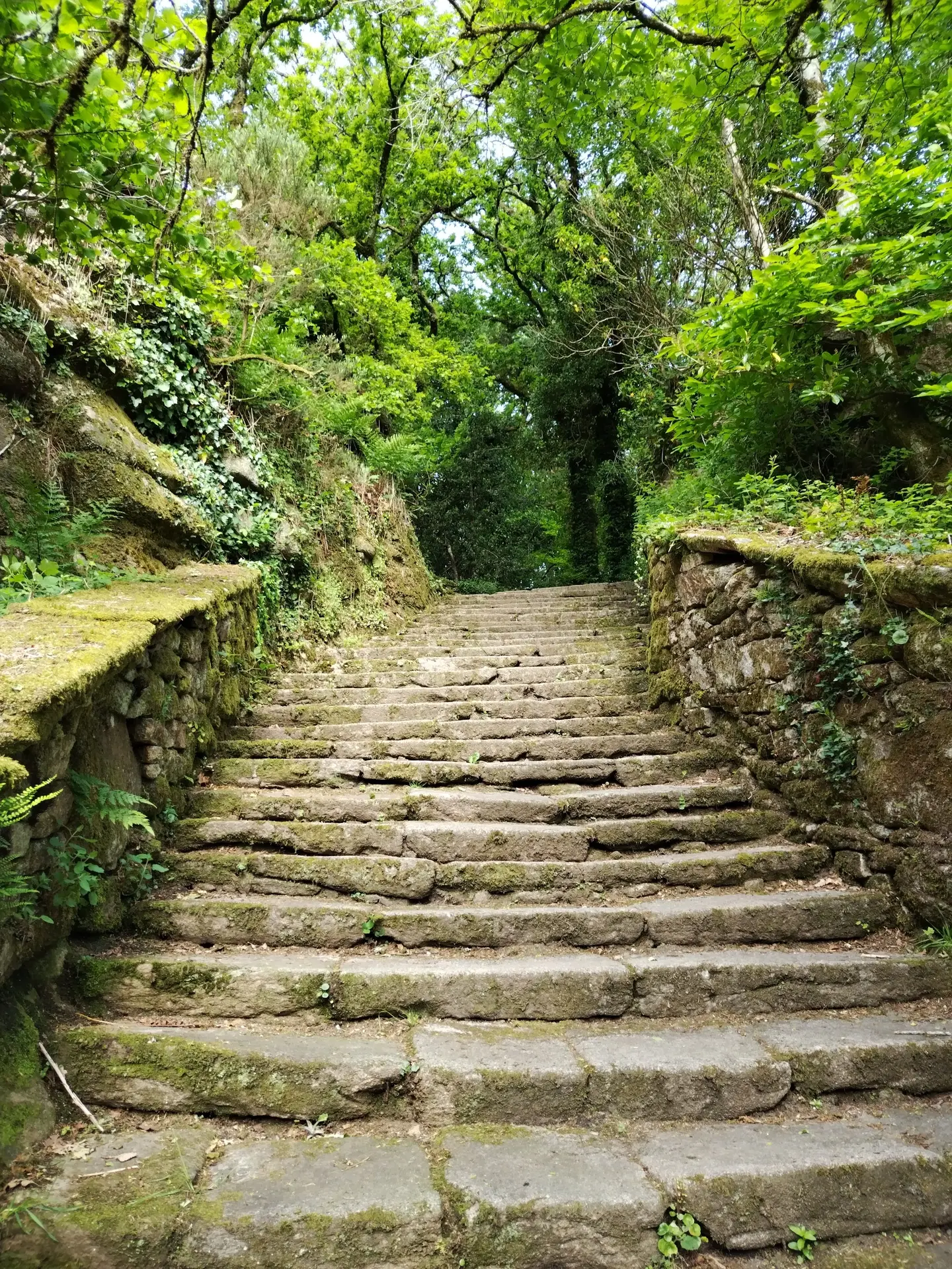 photo d'escalier