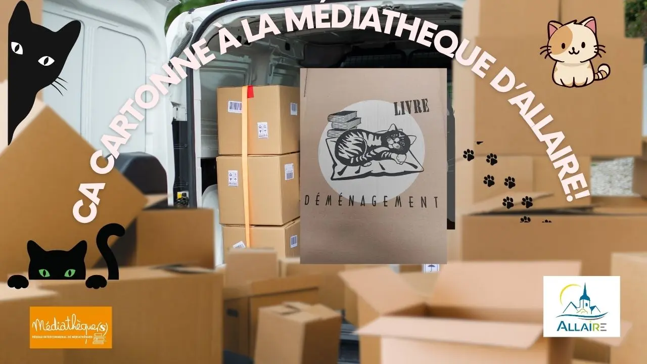 Image_ça_cartonne_à_la_médiathèque