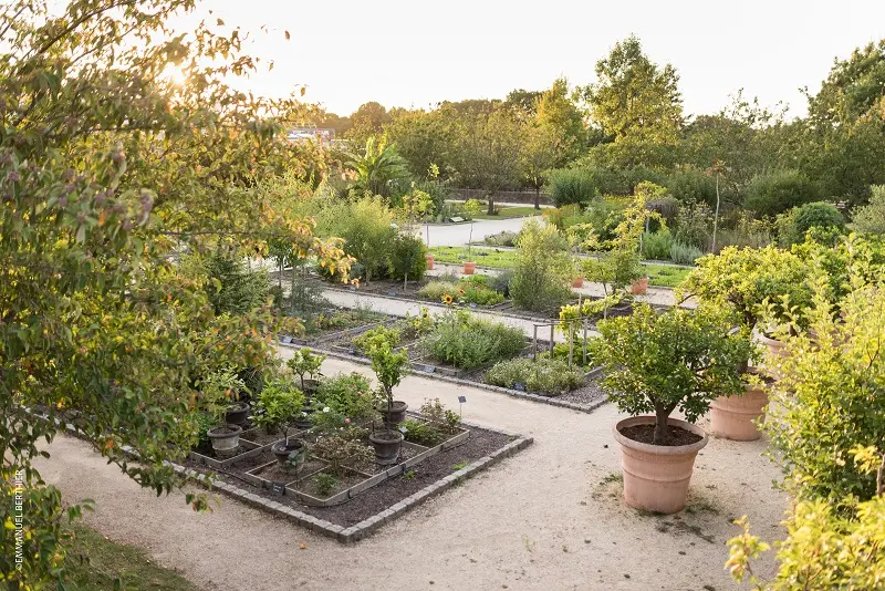 JARDIN BOTANIQUE ©E. Berthier