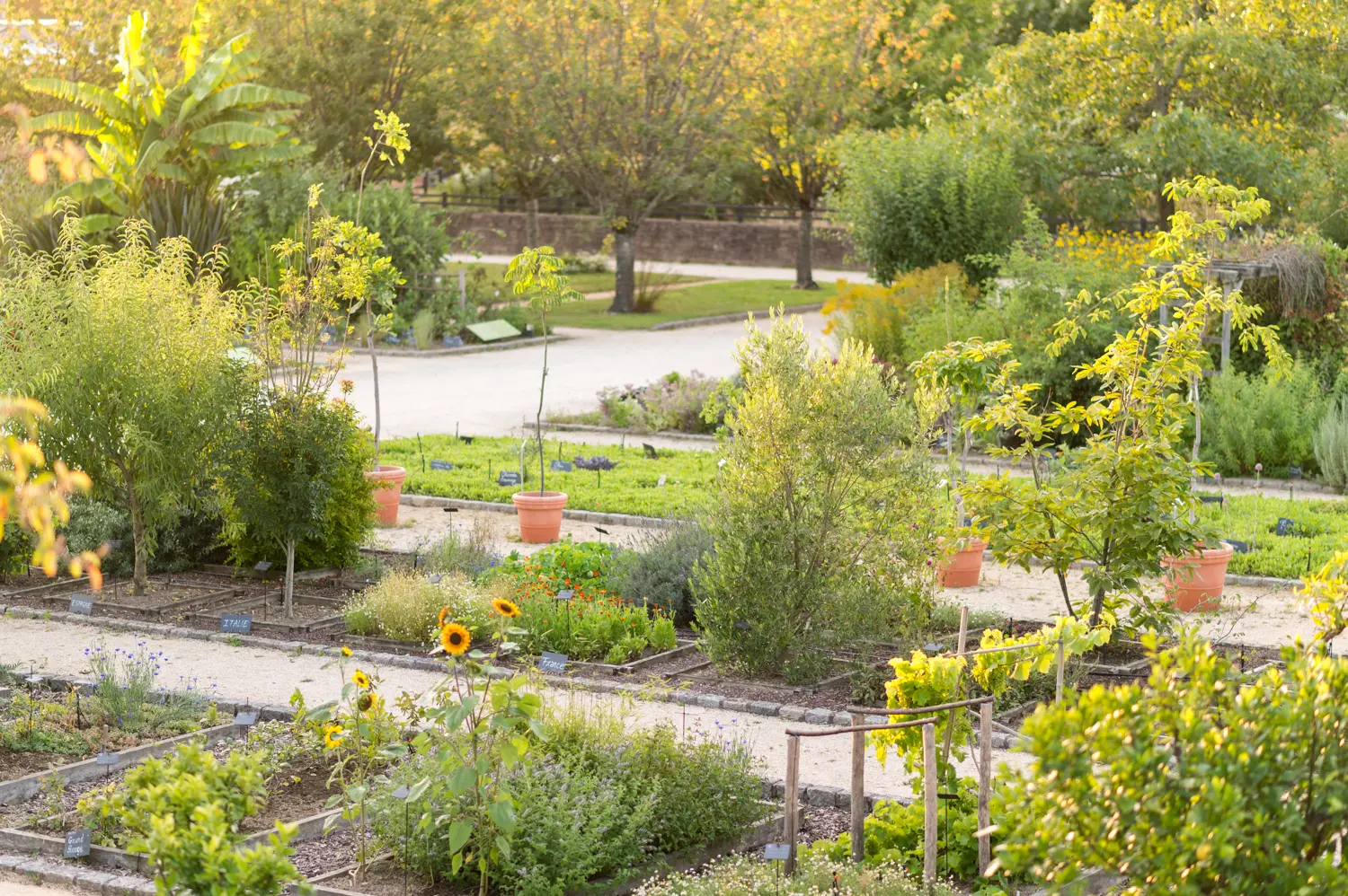 Jardin Botanique Emmanuel Berthier (2)