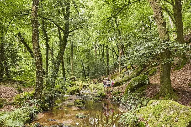La Chapelle-Neuve_circuit du Goyerdon Vallée du Blavet randonnée_@A. Lamoureux