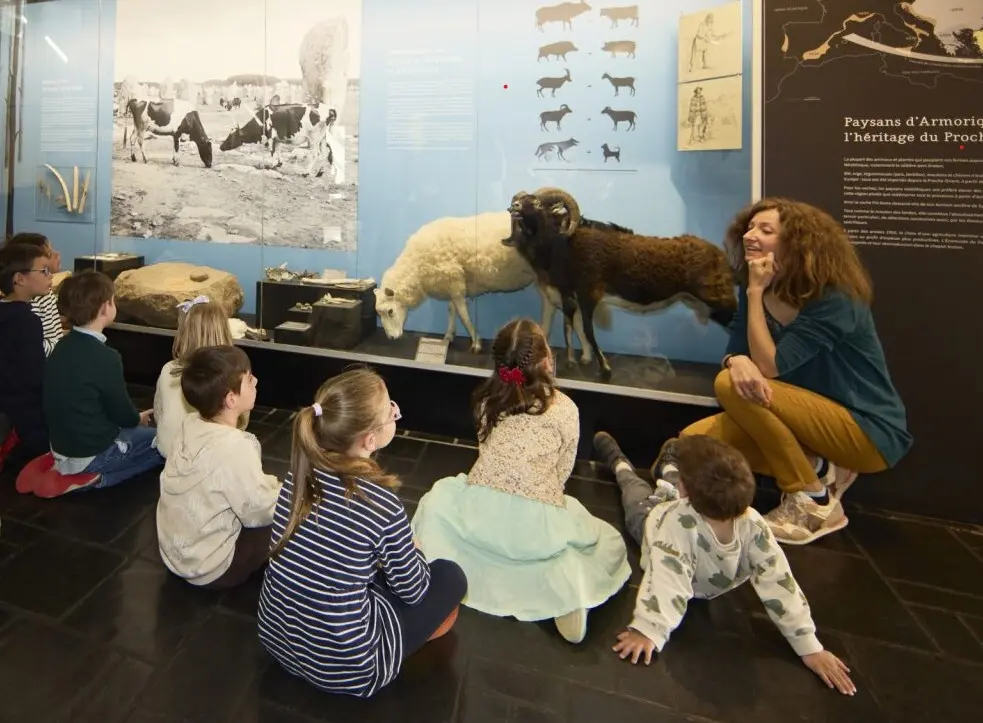 Visite contée à petits pas