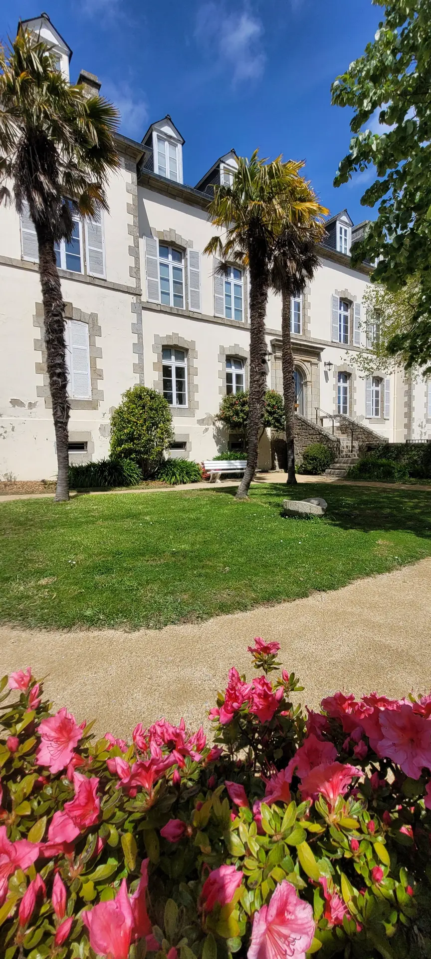 Visite guidée sur l'architecture : des mégalithes au futur musée de Préhistoire
