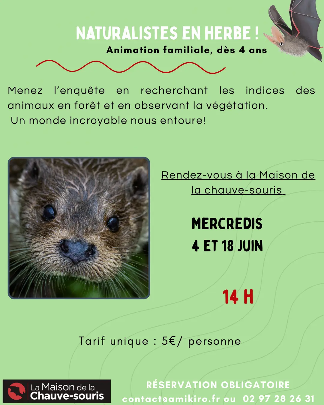 naturalistes
