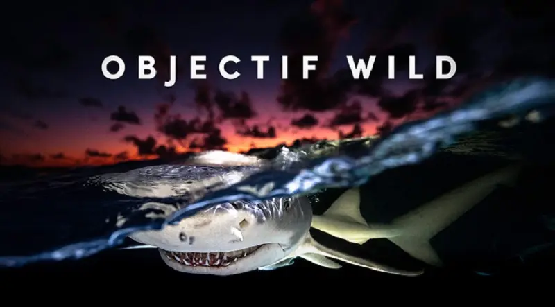 Objectif-wild-LG-septembre 25