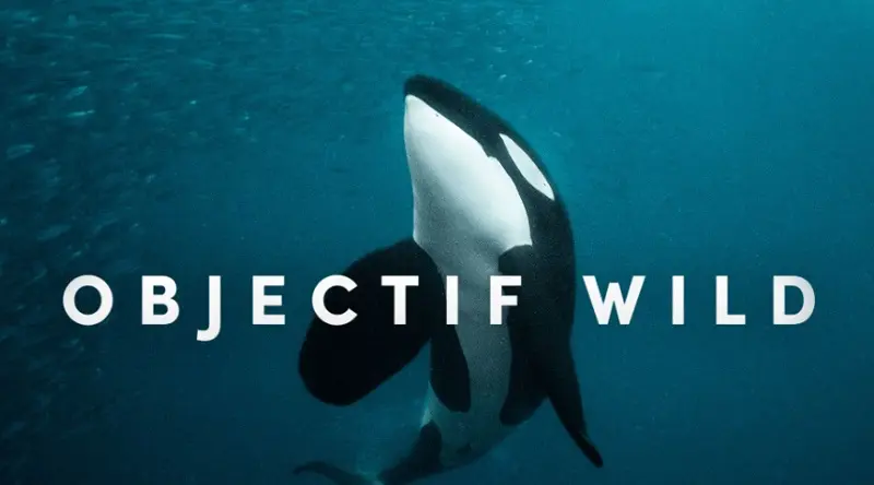 Objectif Wild-LG