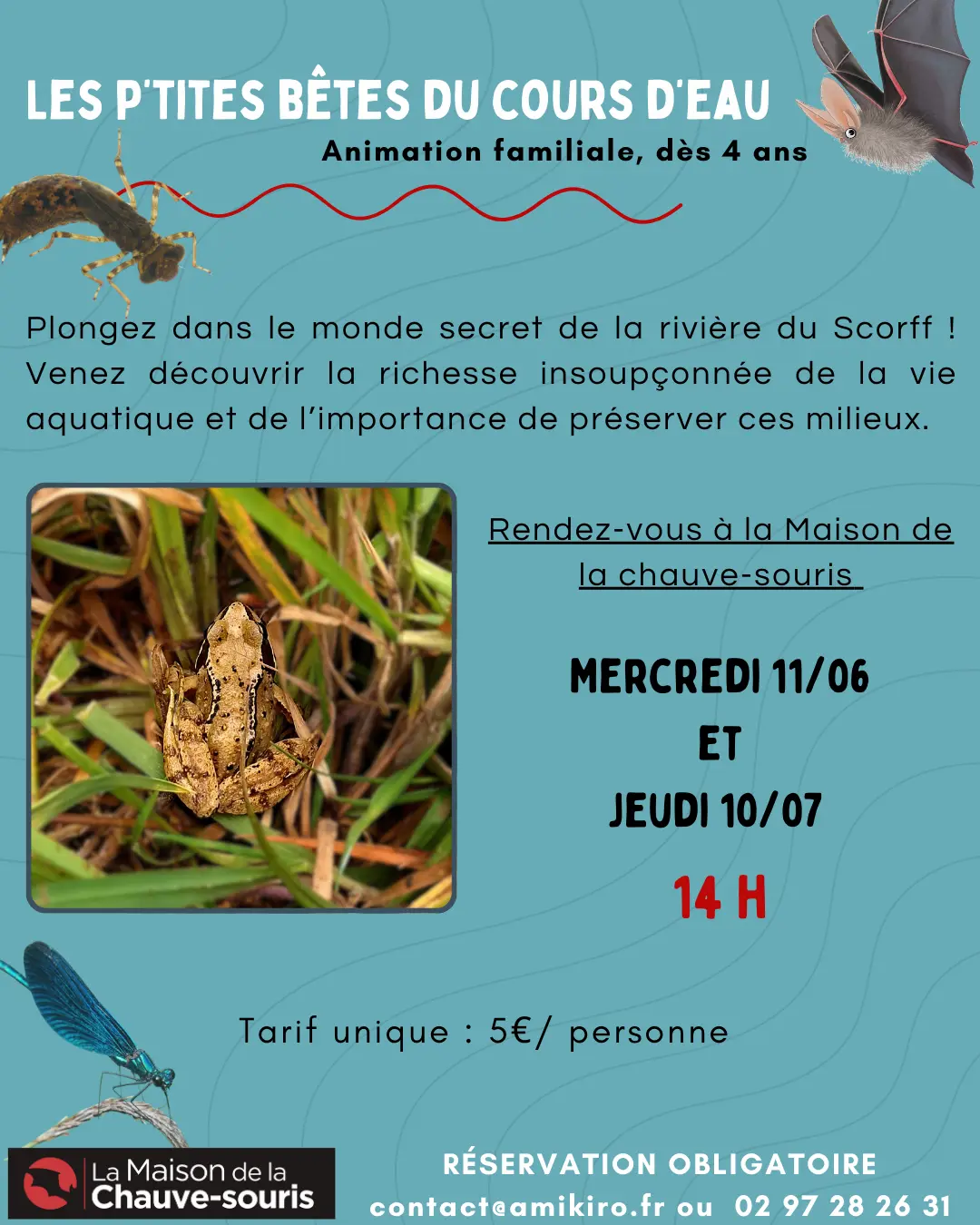 p'tites bêtes du cours d'eau