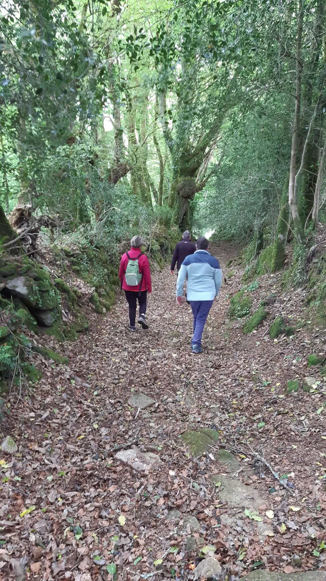 Sur le chemin
