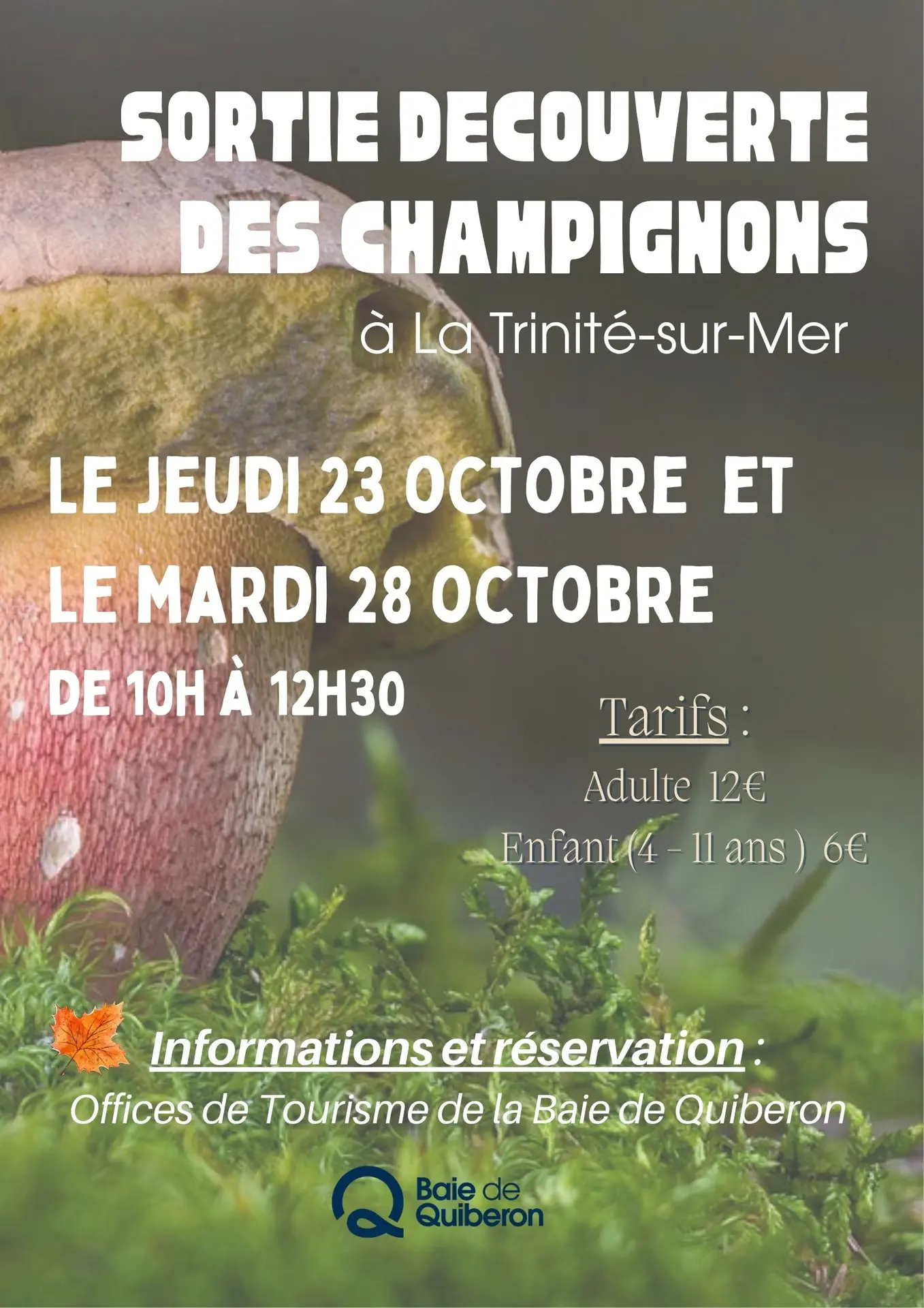 SORTIE CHAMPIGNONS 10 2025 - 1
