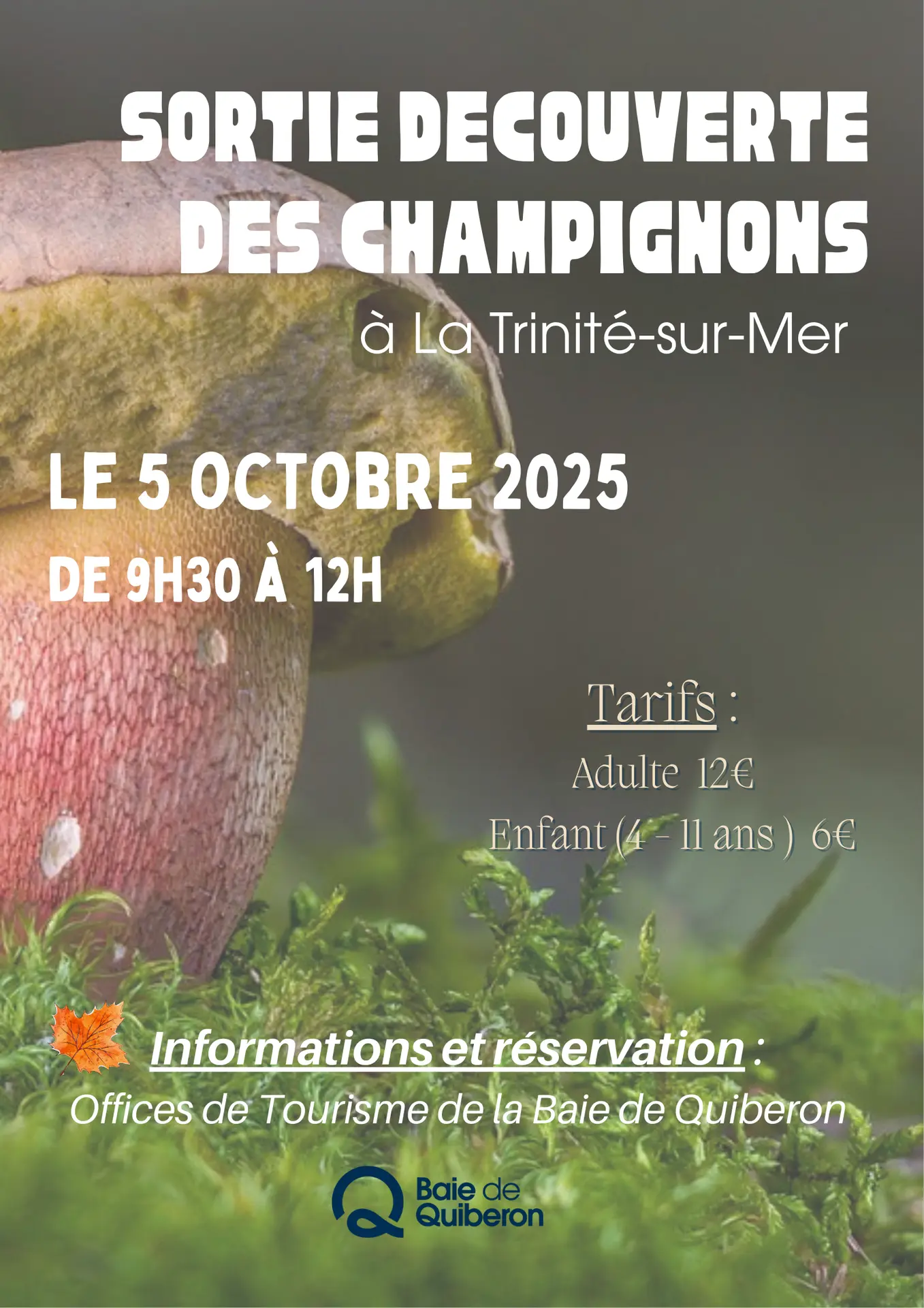 Sortie découverte des champignons