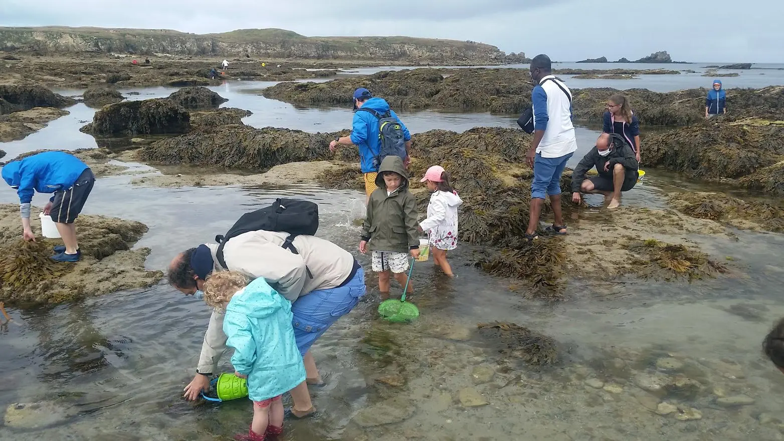 Trésor_de_locéan_à_marrée_basse