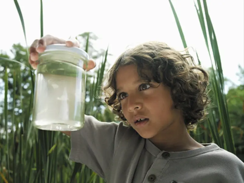 balade_contes_sciences_FestivalBiodiversite_DestinationBroceliande