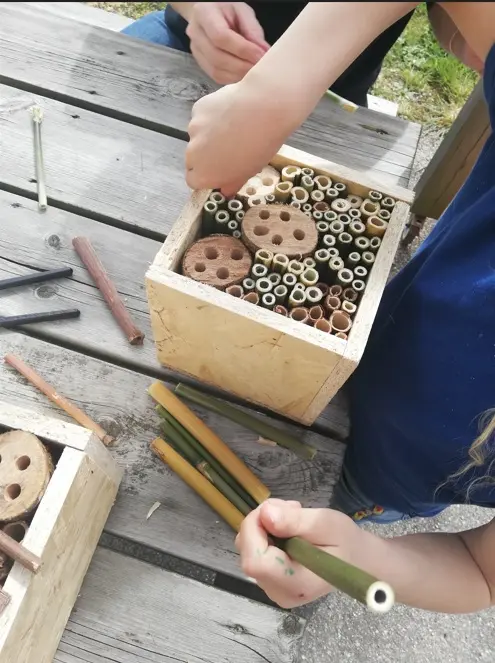 Atelier gîte à insectes