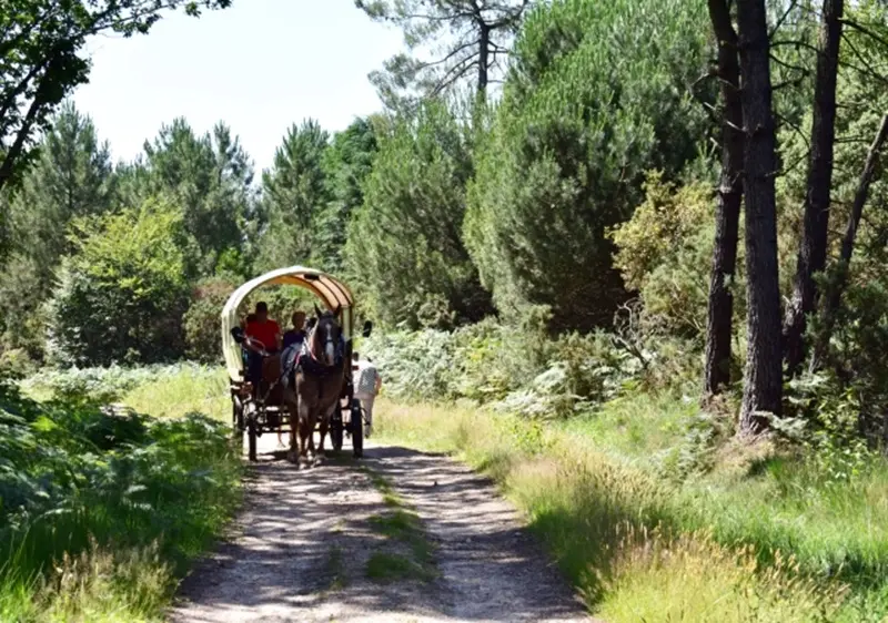 balade_caleche_Sérent-2025
