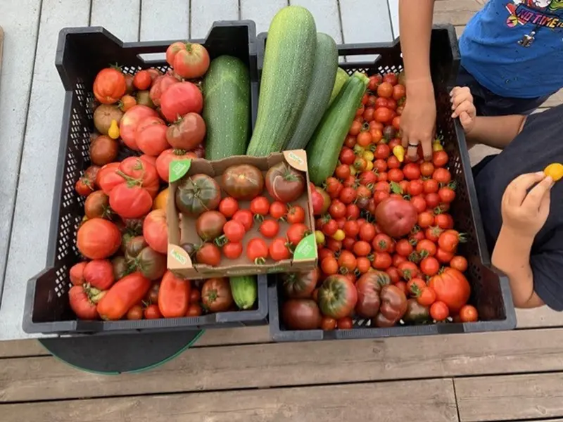 jardin-eden_atelier_participatif_permaculture_Concoret_DestinationBrocéliande