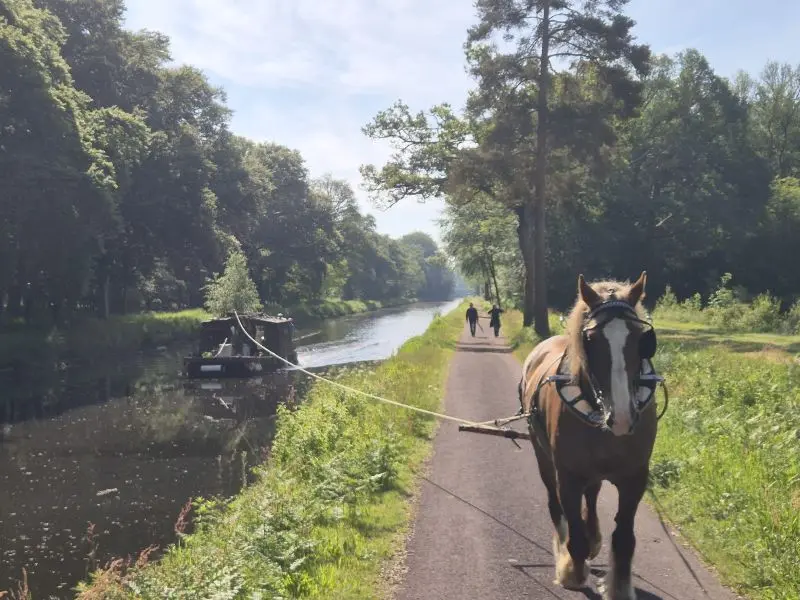 Dimanche - canal - halage - cheval - Tertraie - Brocéliande - Morbihan