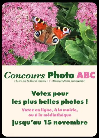 concours photo