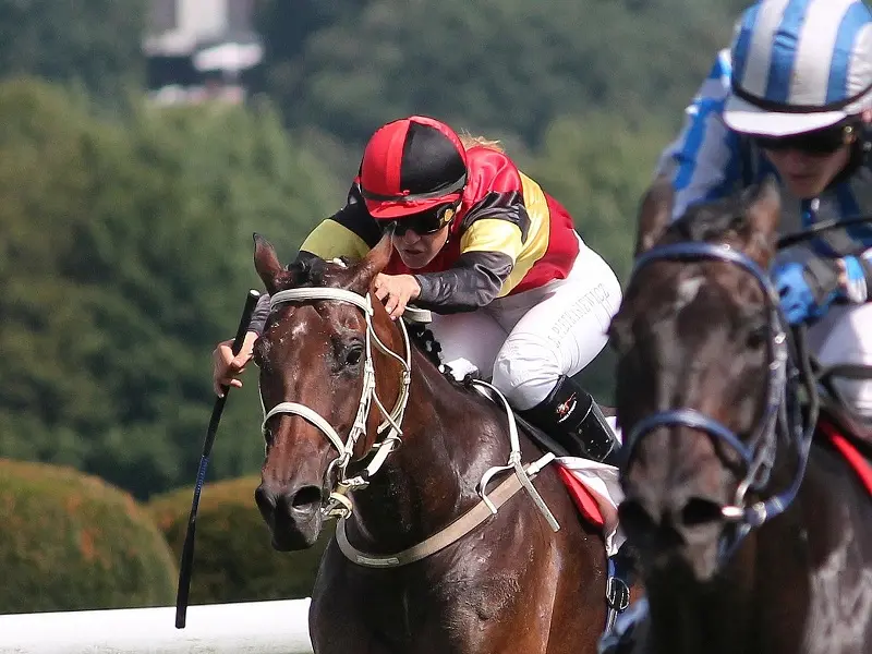 courses-hippiques-2-2