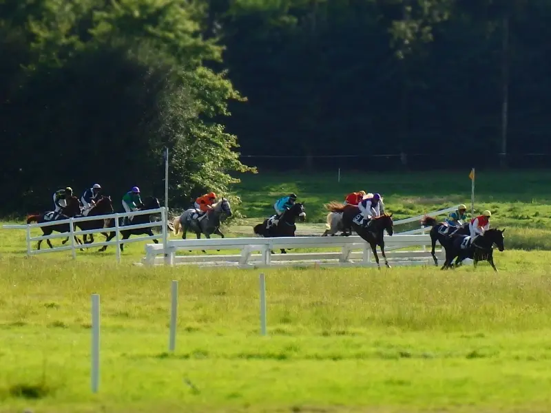courses hippiques - Ploërmel - Brocéliande