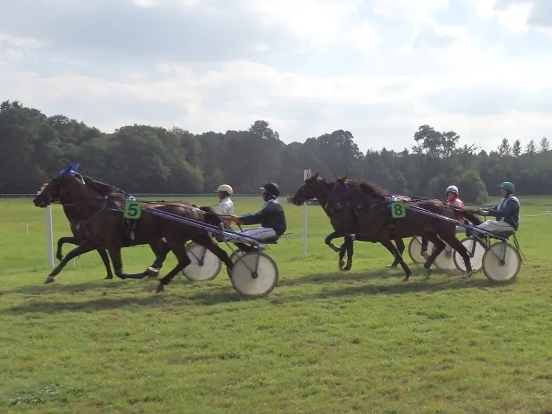 courses hippiques - ploermel - Brocéliande