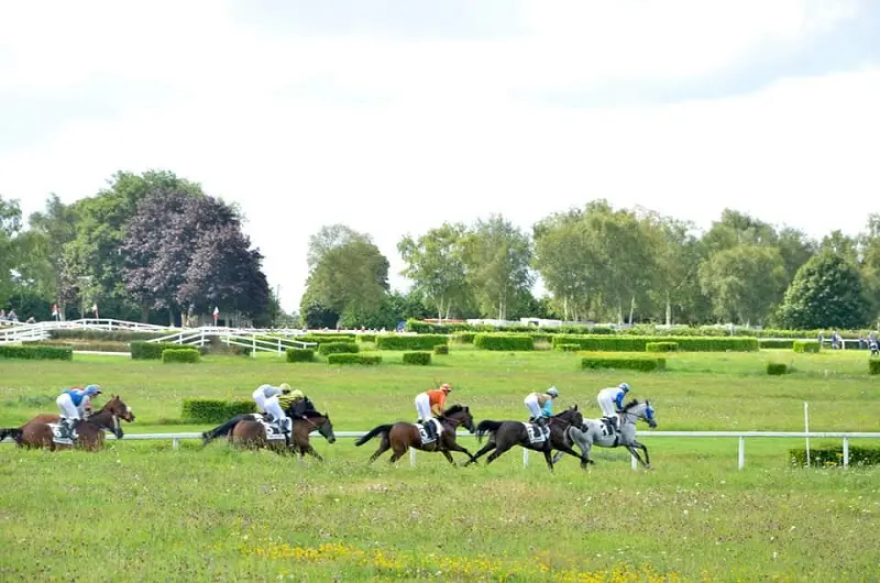 courseshippiques