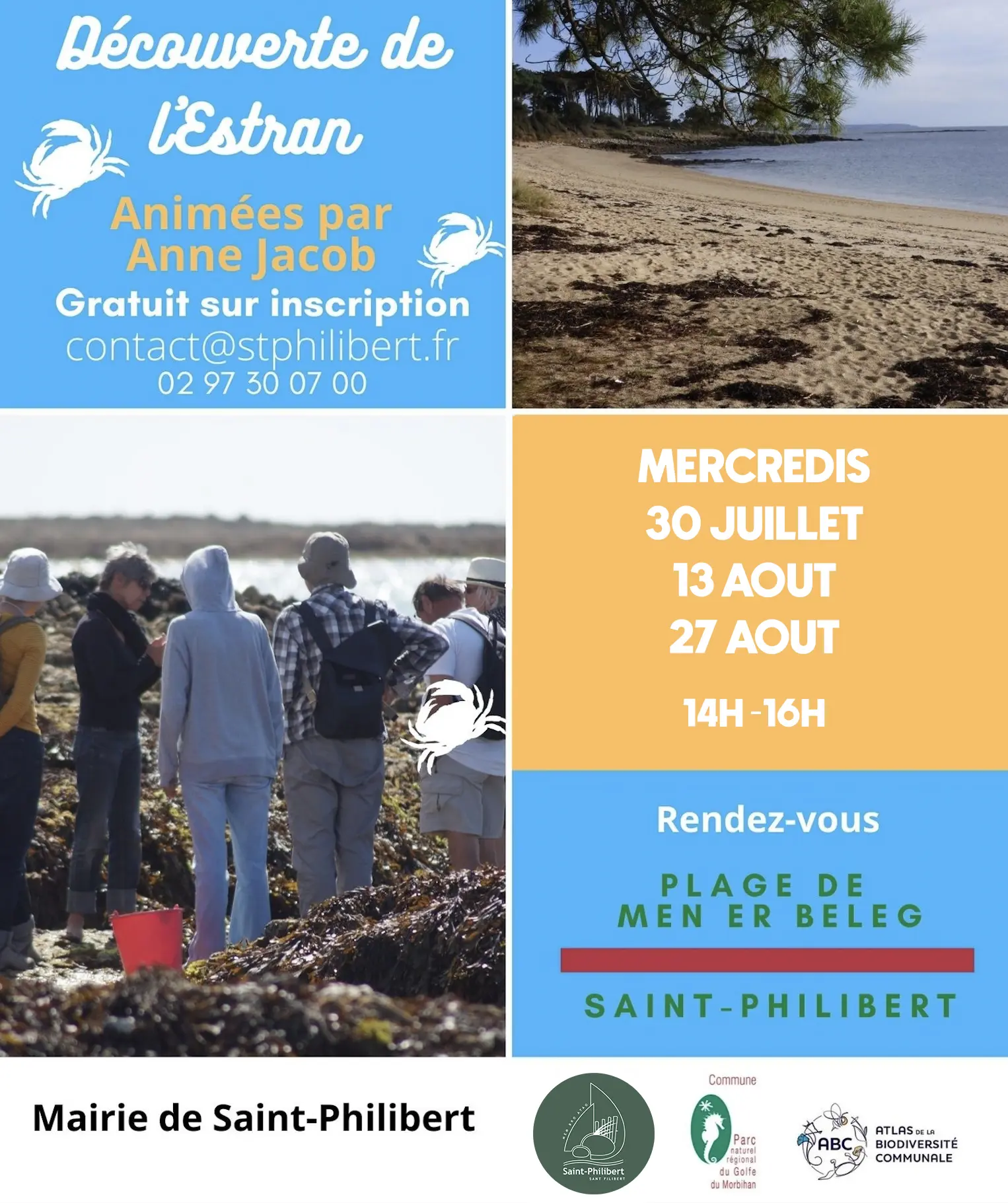 découverte de l'estran