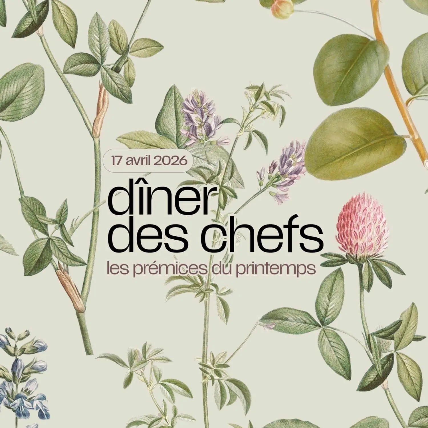 diner-des-chefs-printemps