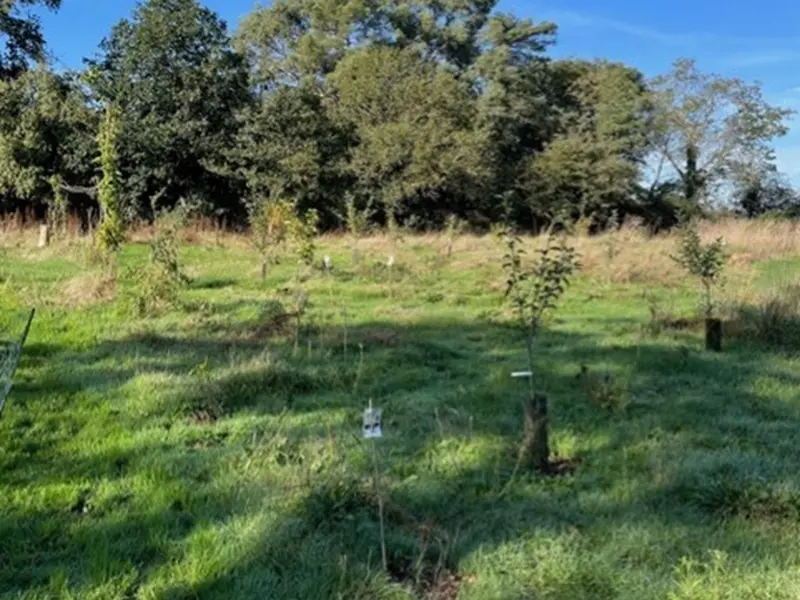 jardin-eden_atelier_participatif_permaculture_Concoret_DestinationBrocéliande
